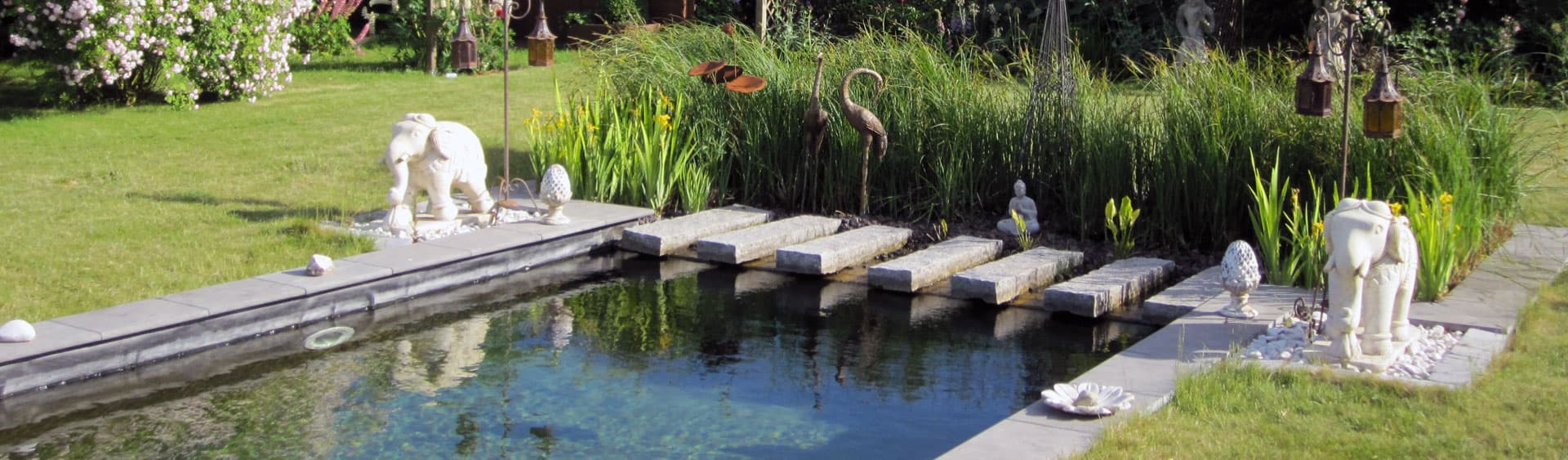 Bassin de Jardin: Comment Choisir ?